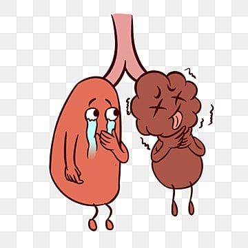 an image of a cartoon character holding the lungs in his hand, with another person looking at him