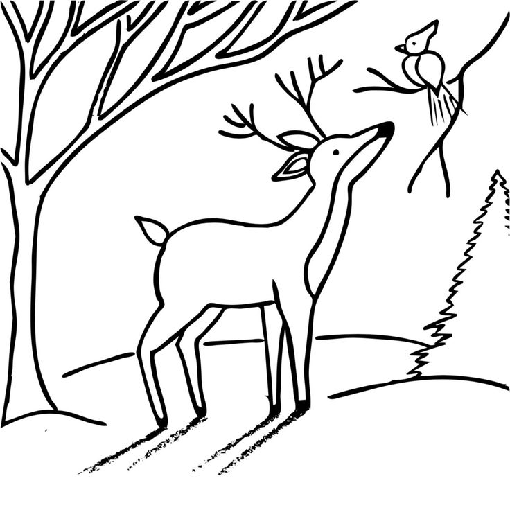 a black and white drawing of a deer in the woods next to a tree with a bird on it