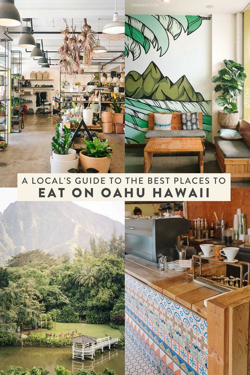 the inside of a restaurant with mountains in the background and pictures of plants on the wall