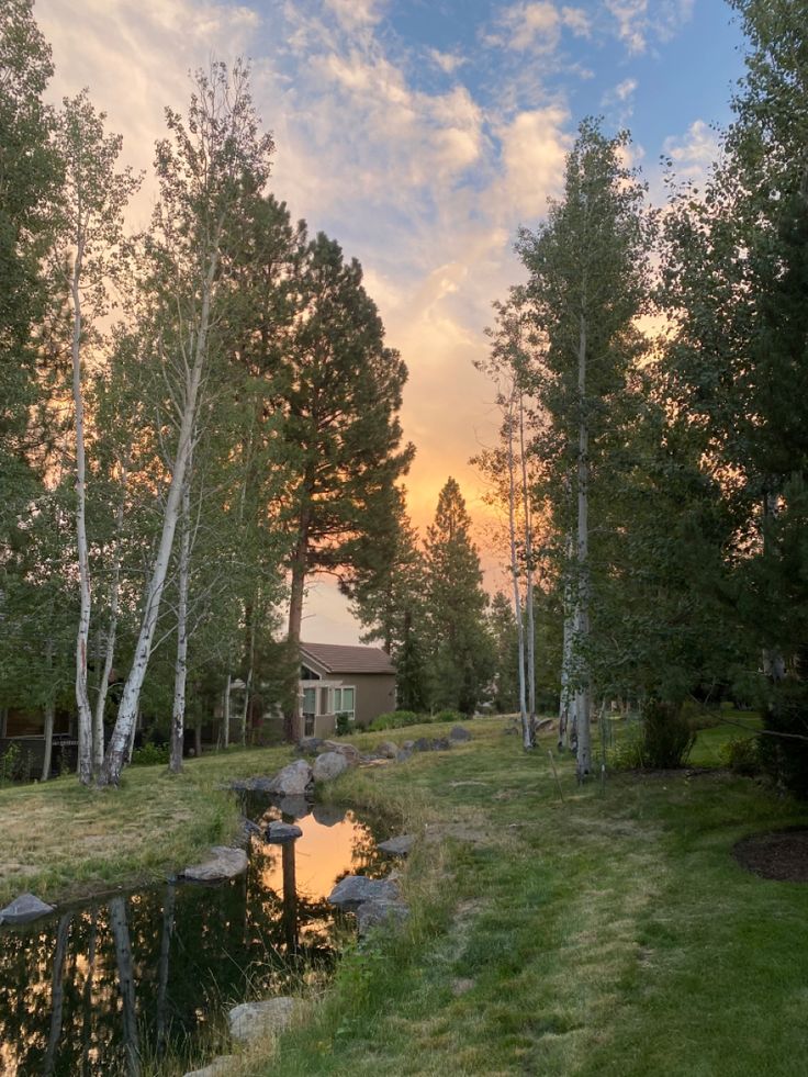 the sun is setting behind some trees near a small pond and house in the distance