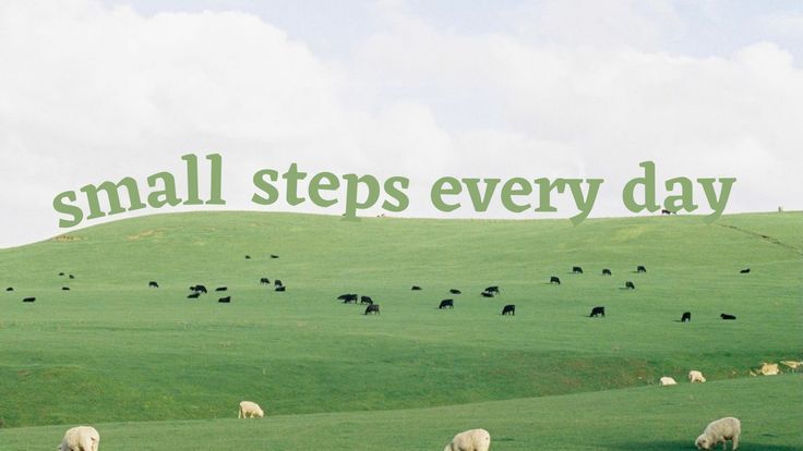 a herd of sheep grazing on top of a lush green field with the words small steps every day