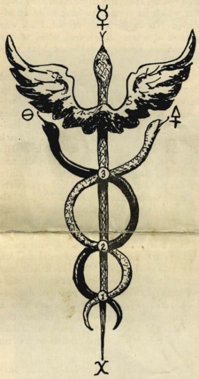 a drawing of a medical symbol with snakes and wings on it's side, in black ink