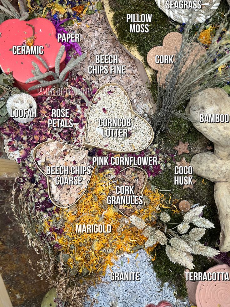 an assortment of different types of rocks and plants with names on them in the shape of hearts