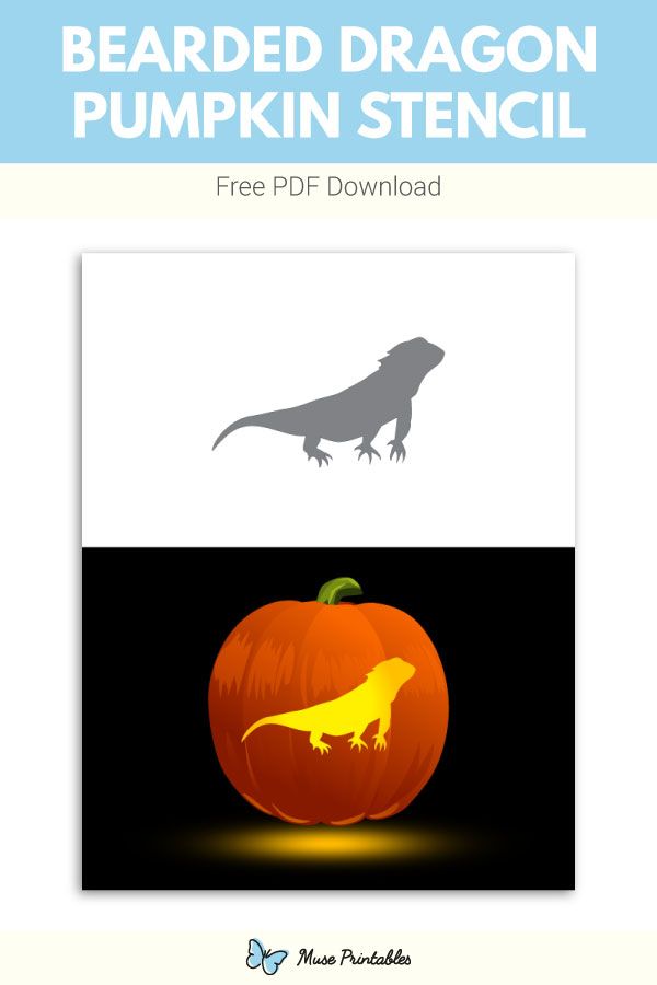 the bearded dragon pumpkin stencil is shown with an image of a dinosaur on it