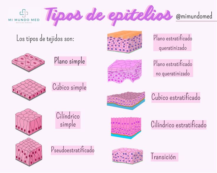 a poster with different types of cakes in spanish and english, including the words tips de epitolos