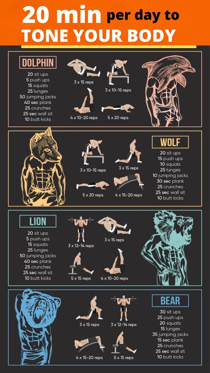 Animal Workout, Calisthenics Workout Plan, Workout Plan For Men, Trening Sztuk Walki, Gym Workout Planner, Full Body Workout Routine, Muscle Abdominal, Gym Workout Chart, Workout Routine For Men