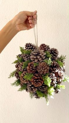 a hand holding a ball of pine cones with greenery and needles in it while hanging from the ceiling