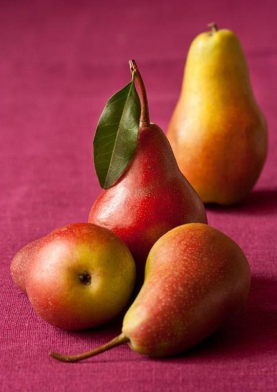 three pears, one yellow and one red on a pink surface with green leaves