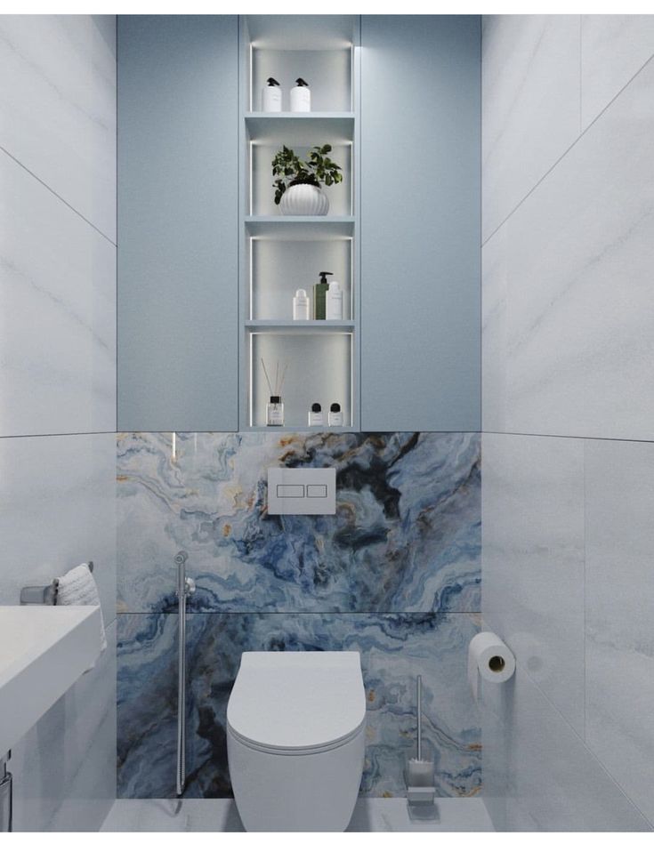 a white toilet sitting in a bathroom next to a wall mounted shelf filled with bottles