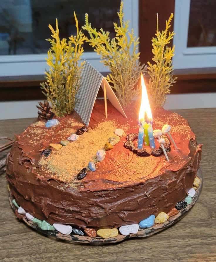 a chocolate cake with candles on it sitting on a table next to some plants and rocks