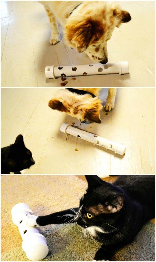 two pictures of cats playing with nintendo wii motes, and one has a cat on it's back