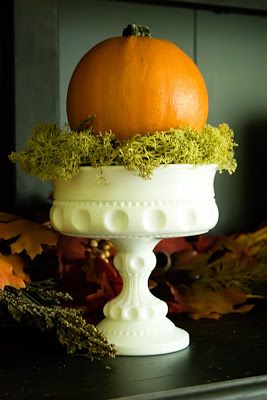 an orange sitting on top of a white vase filled with green plants and mossy leaves