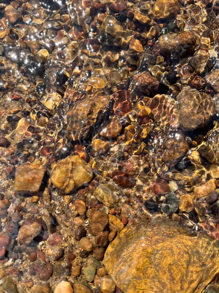 rocks and pebbles under water on the beach