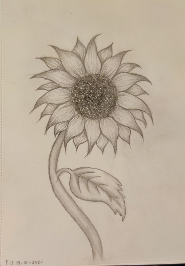 Single Sunflower Drawing, Easy To Draw Sunflowers, Beginner Flower Drawing, Vintage Drawing Ideas Easy, Cool Sketch Ideas Easy Flowers, Sunflower Cartoon Drawing, Easy Sunflower Drawing Simple, Sunflower Easy Drawing, Sun Flower Drawing Simple