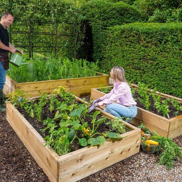 two people are tending to plants in a garden