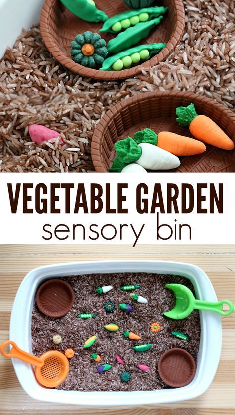 an easy vegetable garden for kids to play with