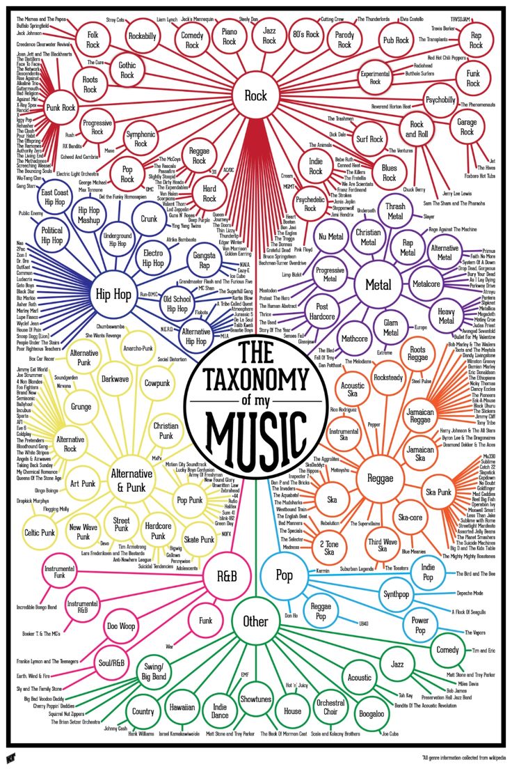 the anatomy of music poster with words and pictures on it, including an image of various types