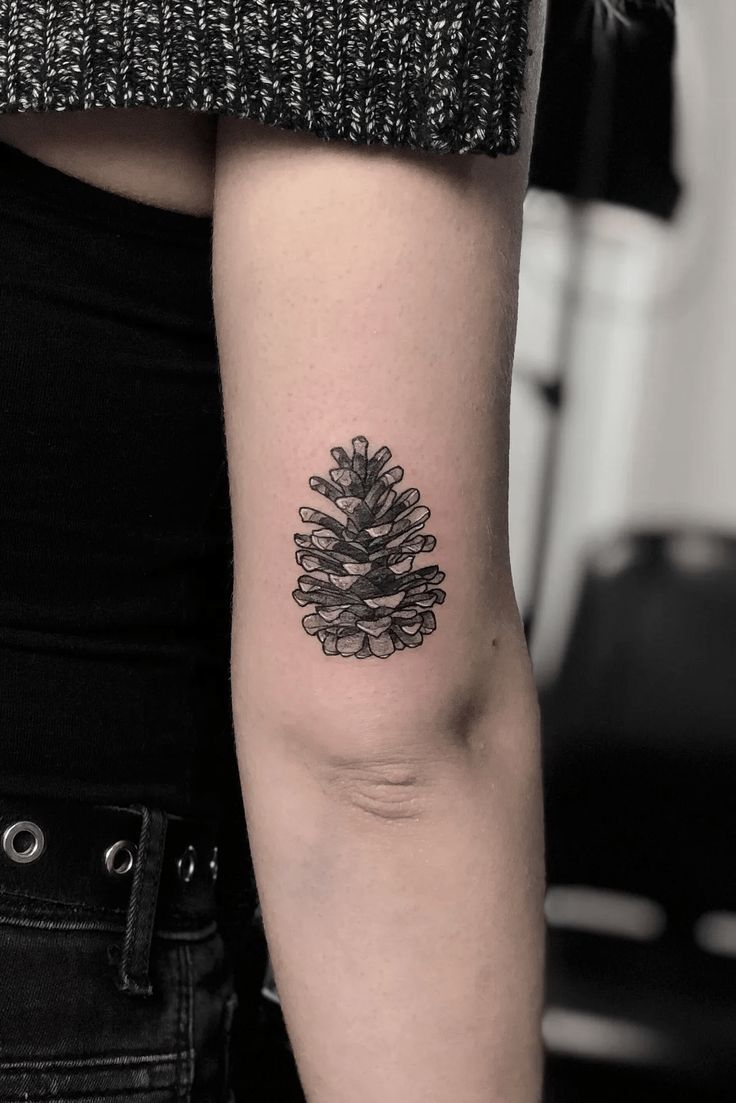 Tattoodo Pine One Tattoos, Pine Cone Tattoo Design, Pine Cone Tattoos, White Pine Cone Tattoo, Scots Pine Tattoo, Lodgepole Pine Tattoo, Conifer Tattoo, Logging Tattoo, Tattoo Pinecone