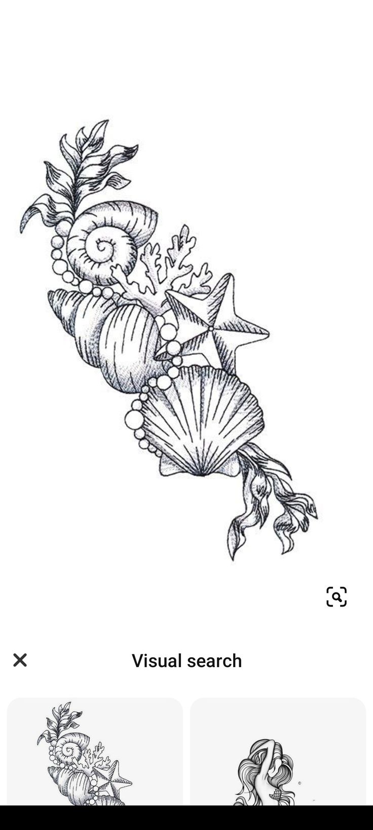 an image of flowers and seashells on a white background with the words visual search below