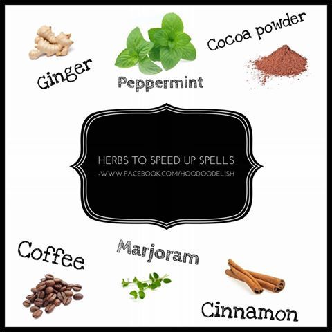 Speed up spells Speed Up Spell, Spell To Speed Things Up, Hoodoo Symbols, Hoodoo Powders, Hoodoo Delish, Peppermint Herb, Hoodoo Conjure Rootwork, Hoodoo Rootwork, Magical Recipes