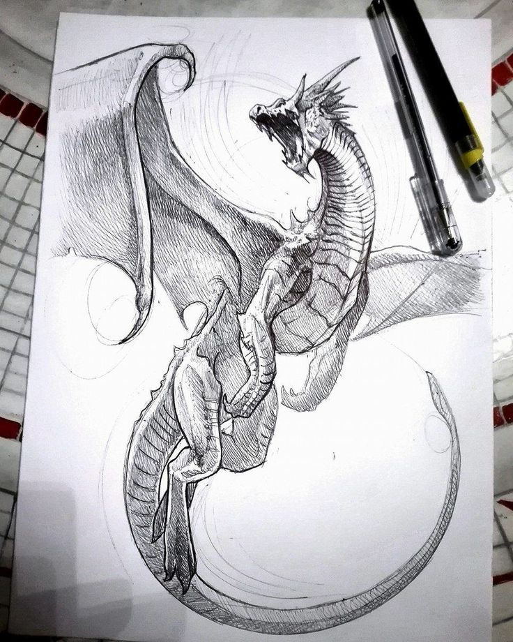 a pencil drawing of a dragon on paper