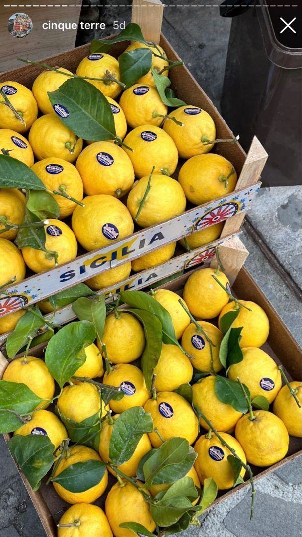 two boxes full of lemons with leaves on them