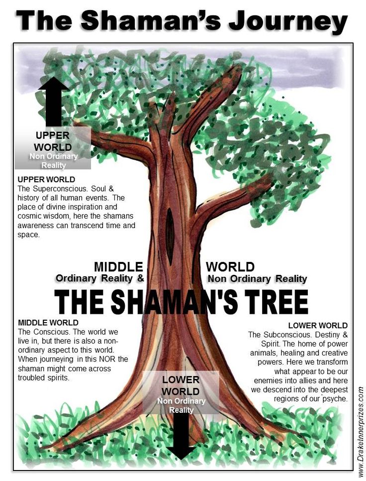 the shanman's journey tree is shown in this poster, with information about its roots