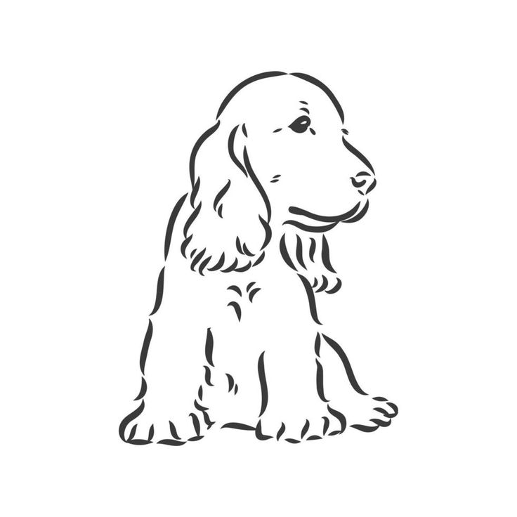 a black and white drawing of a dog