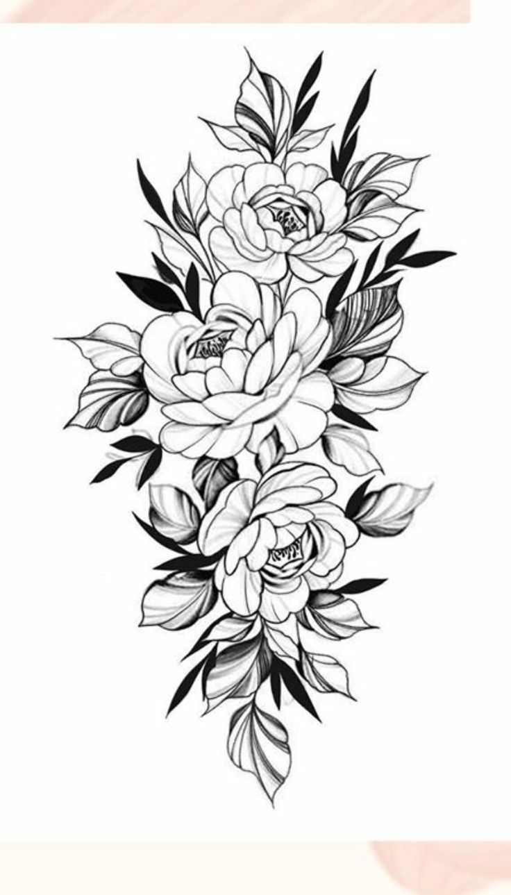 a black and white drawing of flowers with leaves on the bottom half of each flower