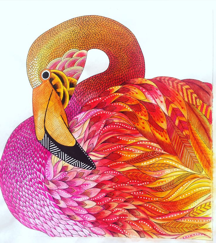 a drawing of a flamingo with colorful feathers