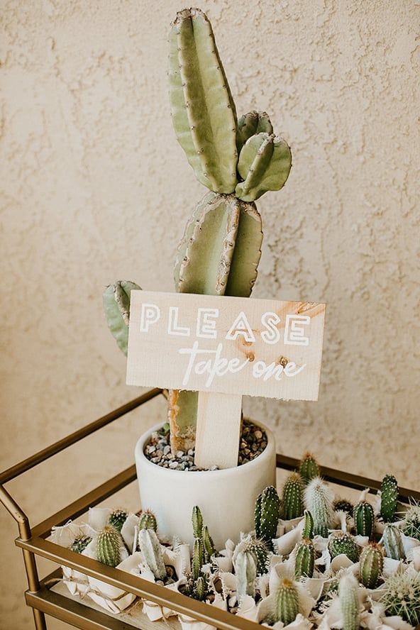 a small potted plant with a sign that says please to the one on it