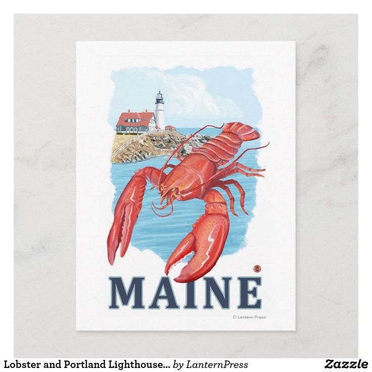 a lobster is shown on the front cover of a postcard that reads maine, lobster and portland lighthouse by lanternpress