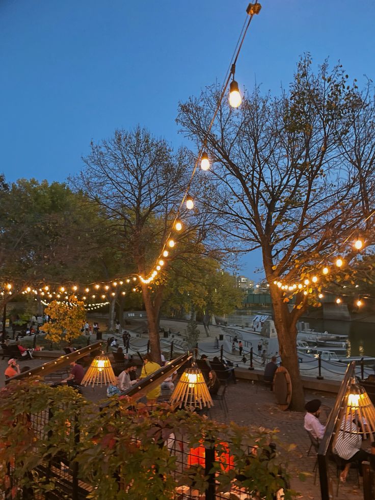 people are sitting at tables with lights strung from the trees in front of them and on the ground