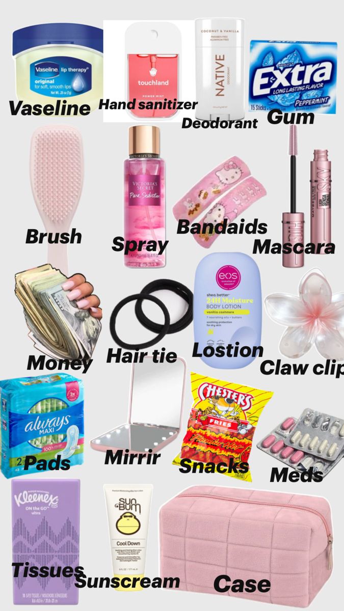 the contents of a woman's purse are shown in this graphic above it is an image of cosmetics and other items