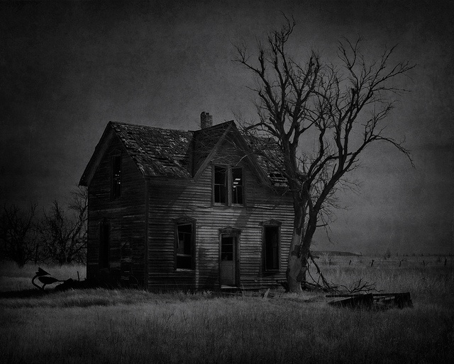 an old house in the middle of a field with no leaves on it and a dead tree next to it