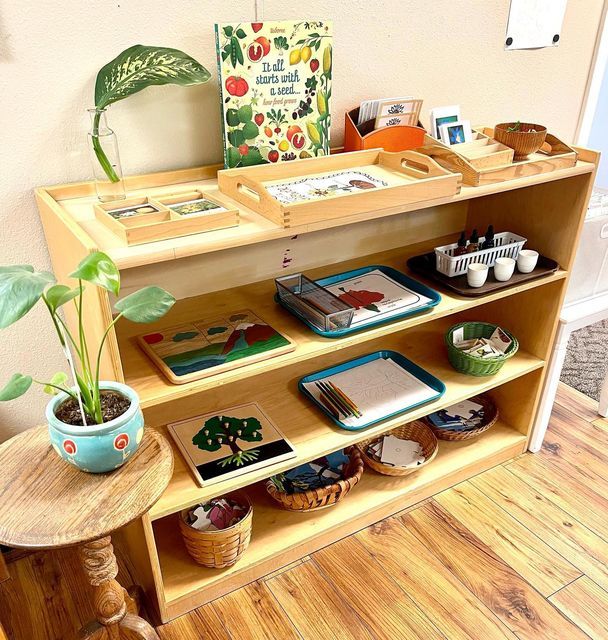 a book shelf filled with lots of books and other items next to a potted plant