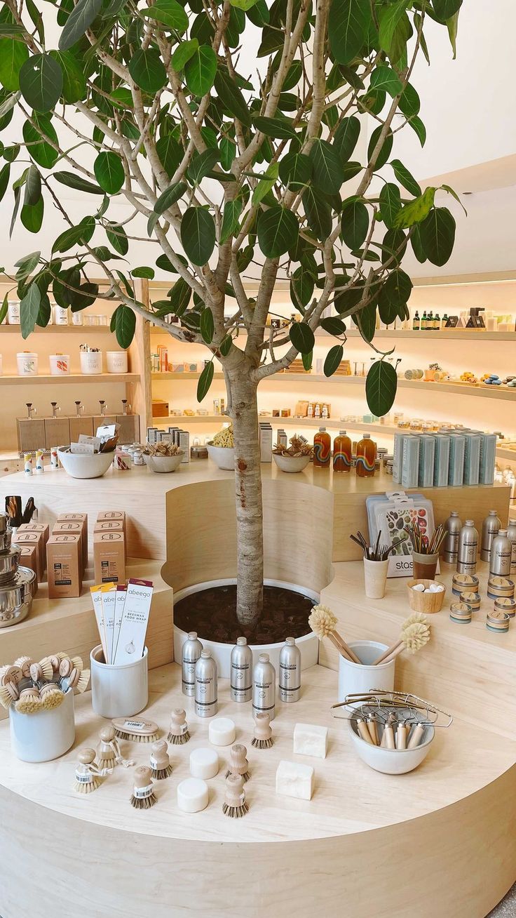 there is a tree that is in the middle of a counter with many items on it