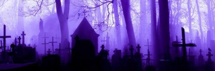 a cemetery in the middle of a forest filled with tombstones and trees covered in purple fog