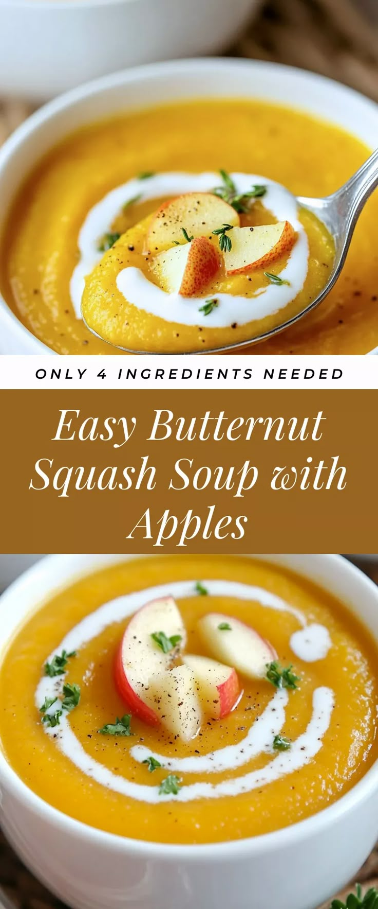 Image for Easy Butternut Squash Soup with Apples Butternut Squash With Apple Soup, Butternut Squash Soup Apple, Butternut Squash Soup Vitamix Recipe, Cold Butternut Squash Soup, The Best Butternut Squash Soup, Butternut Apple Squash Soup, Easy Squash Soup, Butter Ut Squash Soup, Butternut Squash Soup With Coconut Milk