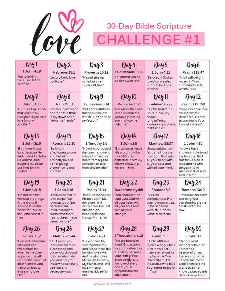 the 30 - day bible schedule for love challenge