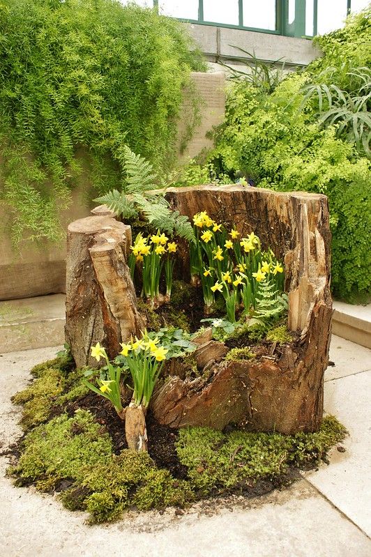 a tree stump with flowers growing out of it in the middle of a garden area