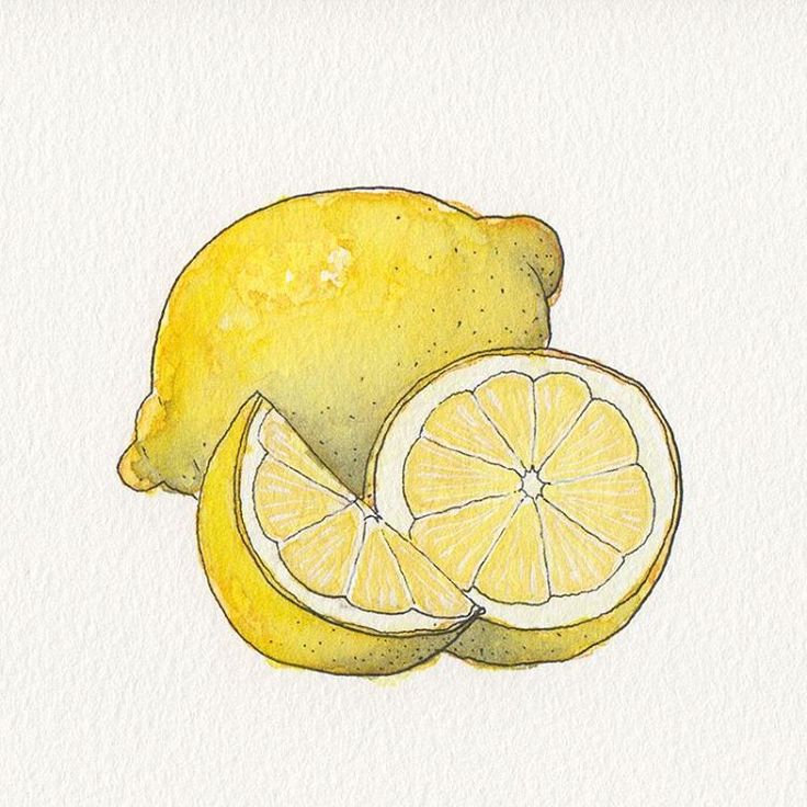 a watercolor drawing of a lemon and a slice