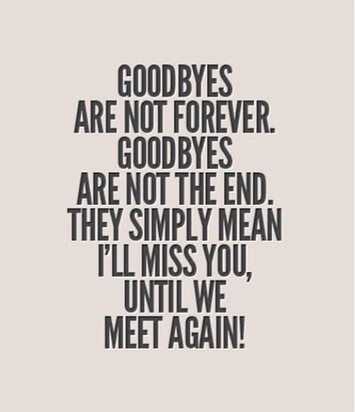 a quote that reads goodbyes are not forever goodbyes are not the end they simply mean i'll miss you until we meet again