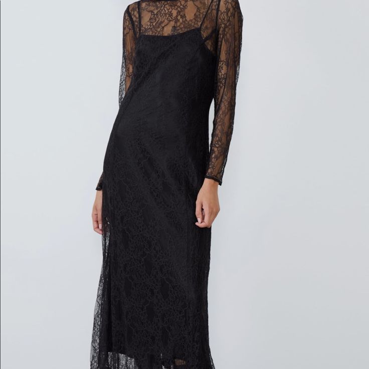 Zara Dress Lace Midi Length Slip Dress For Evening, Spring Formal Sheer Midi Dress, Elegant Black Sheer Slip Dress, Formal Sheer Midi Dress For Spring, Elegant Sheer Slip Dress For Date Night, Sheer Slip Dress For Spring Evening, Dressy Midi-length Lace Dress For Evening, Sheer Midi Evening Dress, Chic Evening Slip Dress For Fall