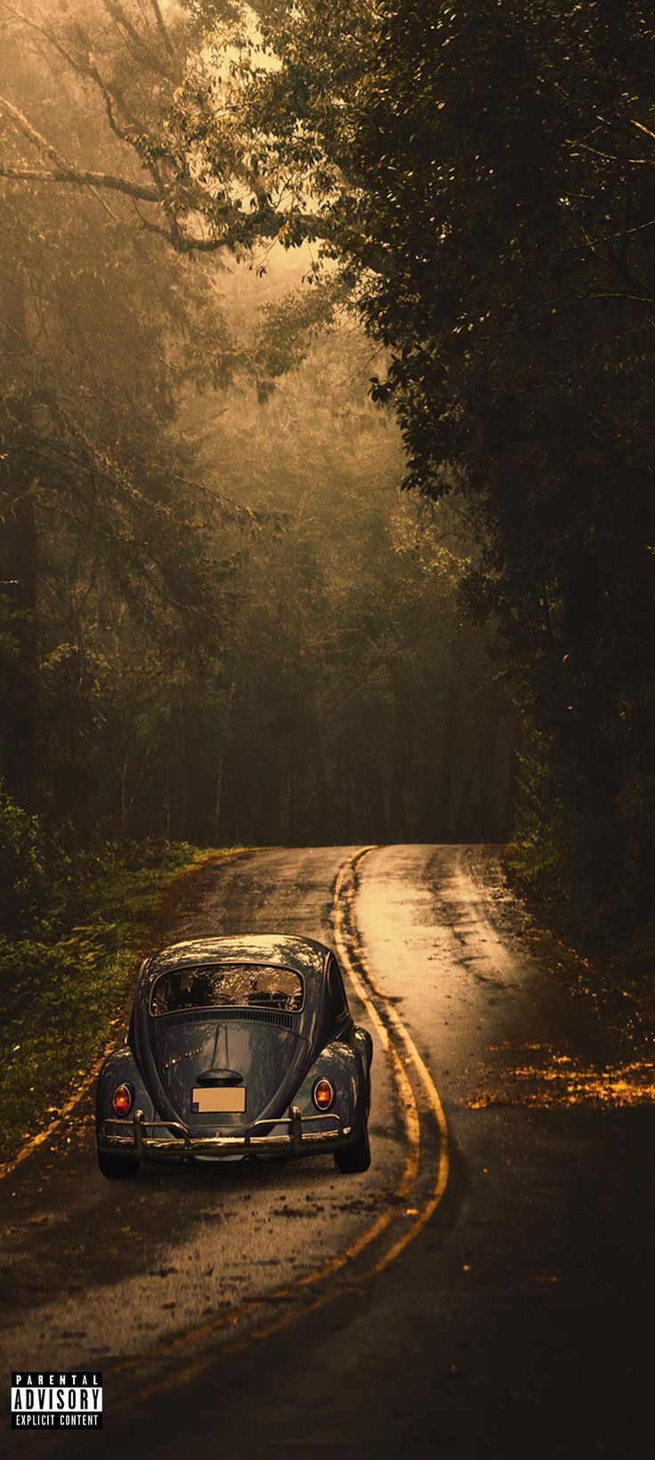 a bugatti driving down a road in the middle of the forest at night