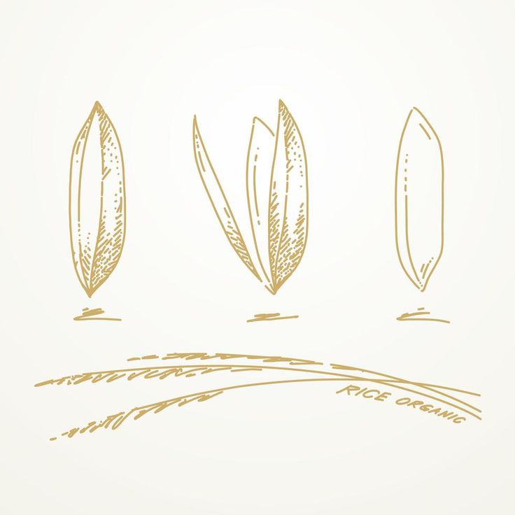 three different types of leaves on a white background with gold foil lettering that says,