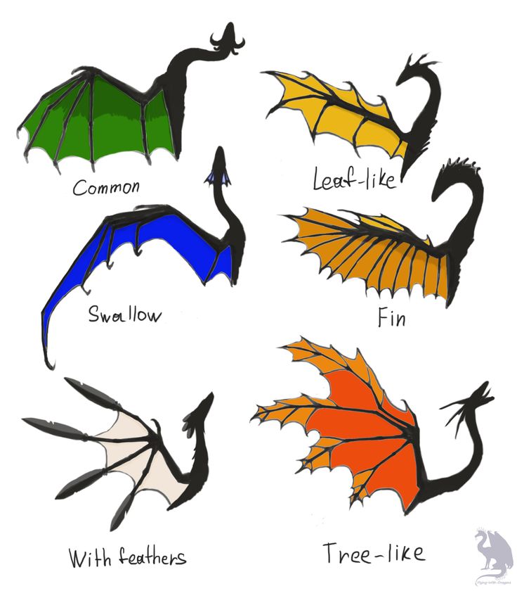 six different types of dragon wings are shown in this drawing form, each with different colors and shapes