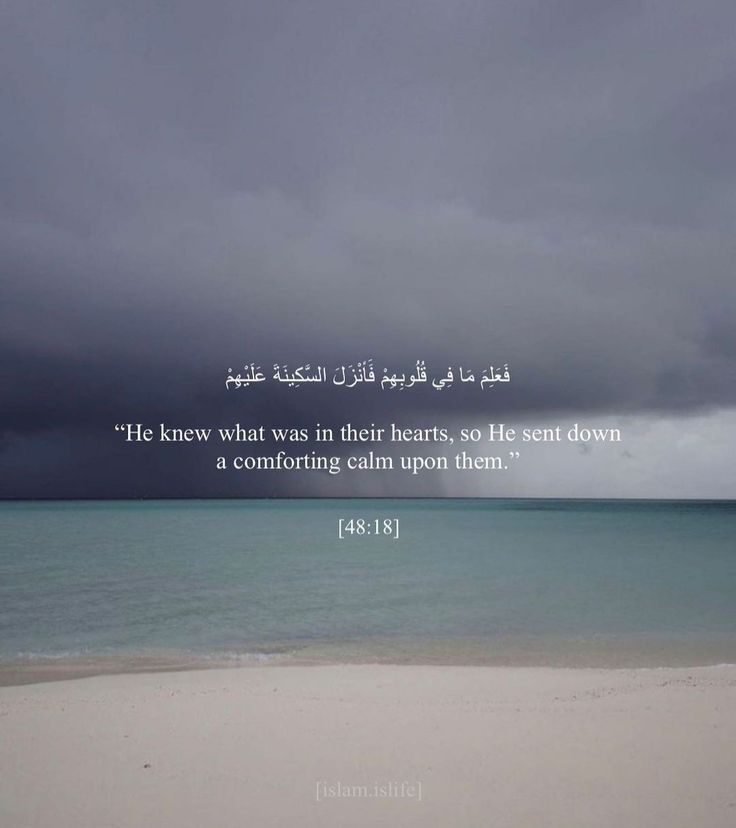 an image of the ocean with a bible verse written in arabic and english on it