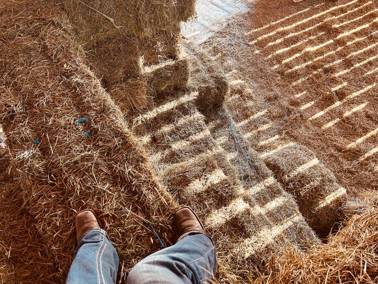 someone is standing in the hay with their feet up