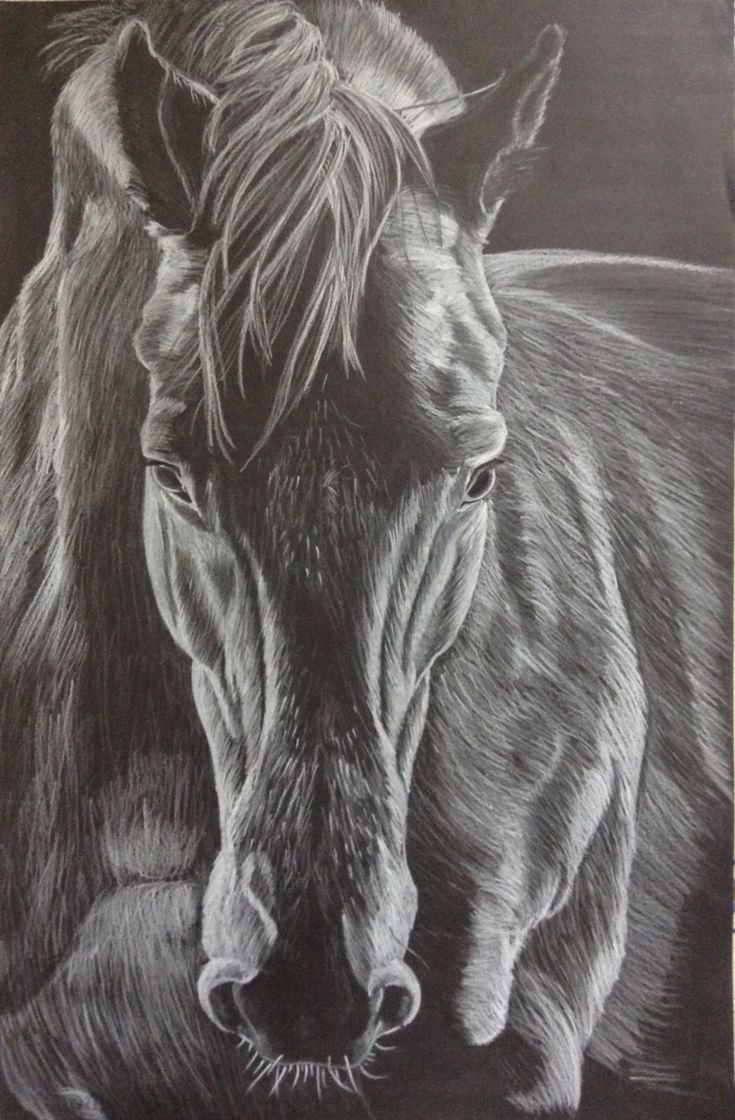 a black and white drawing of a horse standing next to another horse in the background